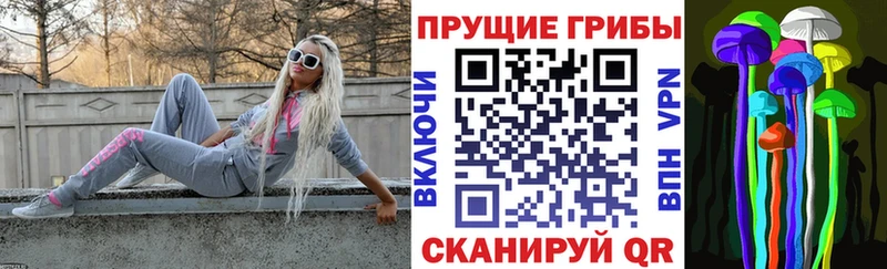 Галлюциногенные грибы Psilocybine cubensis  Купить  Михайловка 